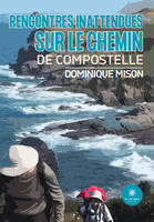 Rencontres inattendues sur le chemin de Compostelle - Dominique Mison