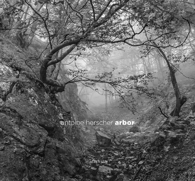 Arbor.