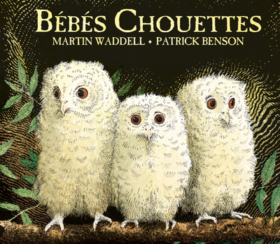 Bebes Chouettes (Tout Carton)