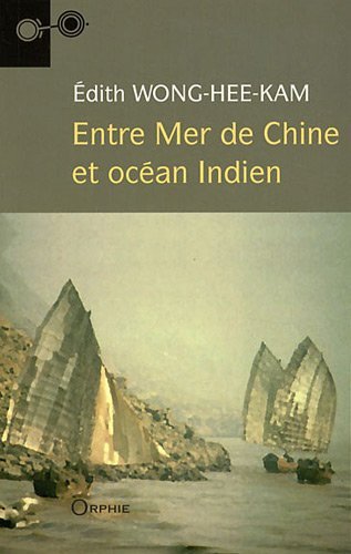 Entre mer de Chine et océan Indien - roman