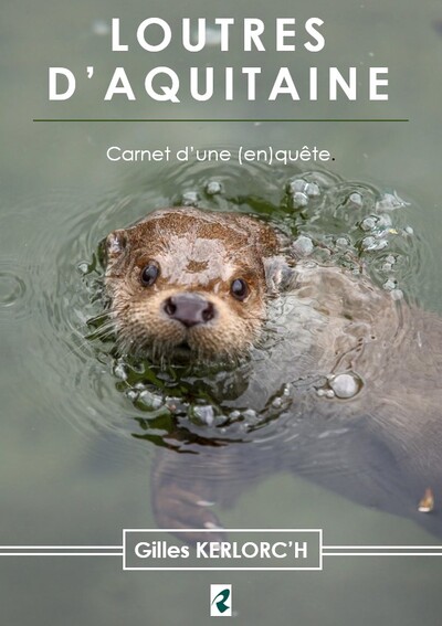 Loutres d'Aquitaine