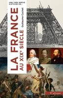 Très brève histoire de la France au XIXe siècle - Guillaume Cuchet