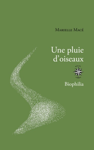 Une pluie d'oiseau