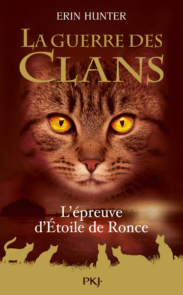 La Guerre des Clans - L'épreuve d'Etoile de Ronce - Hors-série - Erin Hunter