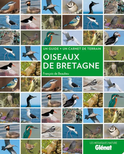 Oiseaux de Bretagne