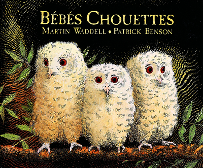 Bébés chouettes