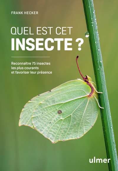 Quel est cet insecte ? - Reconnaître 75 insectes les plus courants et favoriser leur présence - Franck Hecker