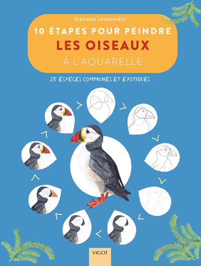 10 étapes pour peindre les oiseaux à l'aquarelle