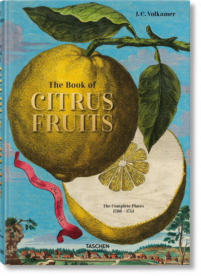 The book of citrus fruits - Johann Christoph Volckamer