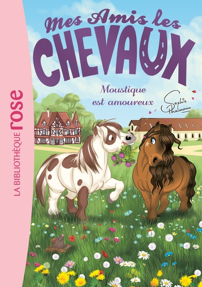 Mes amis les chevaux Volume 16 - Hachette Livre