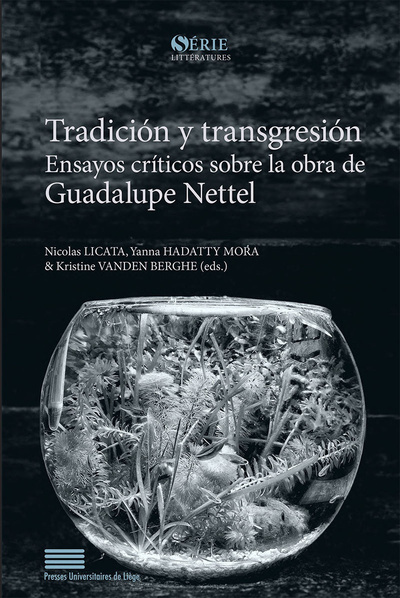 Tradicion Y Transgresion. Ensayos Criticos Sobre La Obra De Guadalupe  Nettel