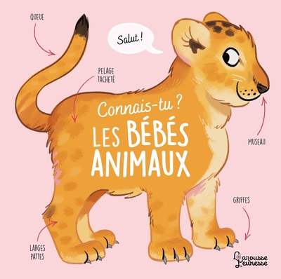 Connais-tu les bébés animaux ?