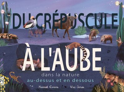 Au-dessus et en-dessous... du crépuscule à l'aube (provisoire)