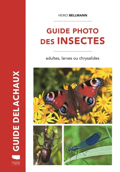 Guide Photo Des Insectes, Adultes, Larves Ou Chrysalides - Heiko Bellmann