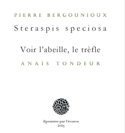 Steraspis speciosa/Voir l'abeille, le trèfle