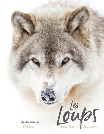 Les loups, sauvages et fascinants - Tom Jackson