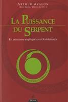 La bible de l'acupuncture et des points d'énergie pour tous