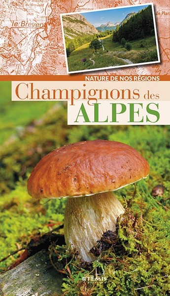 Champignons des Alpes - Losange