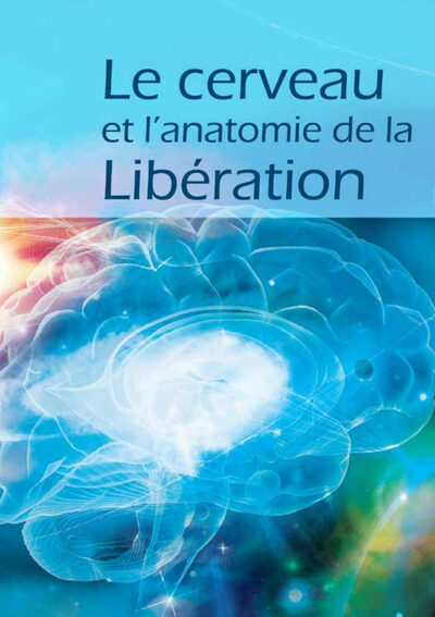 Le Cerveau Et L'Anatomie De La Liberation