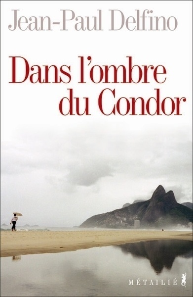 Dans l'ombre du Condor