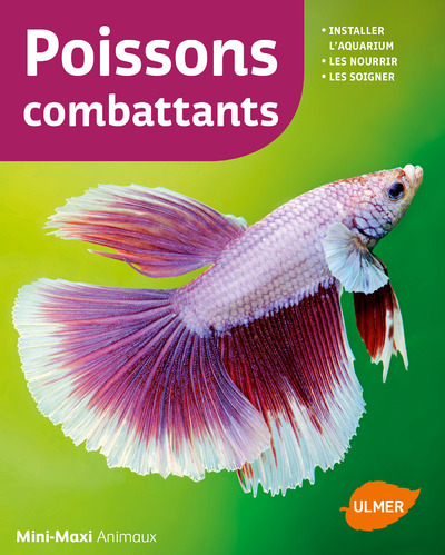 Poissons combattants