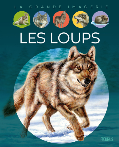 Les Loups - Agnès Vandewiele