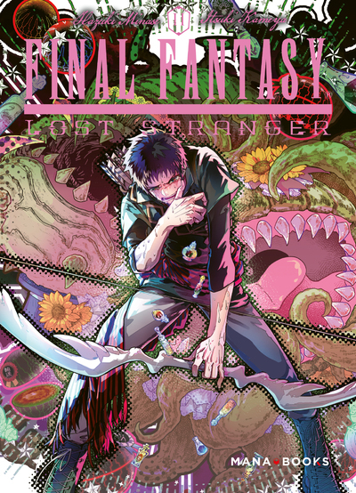 Final Fantasy Lost Stranger Volume 11