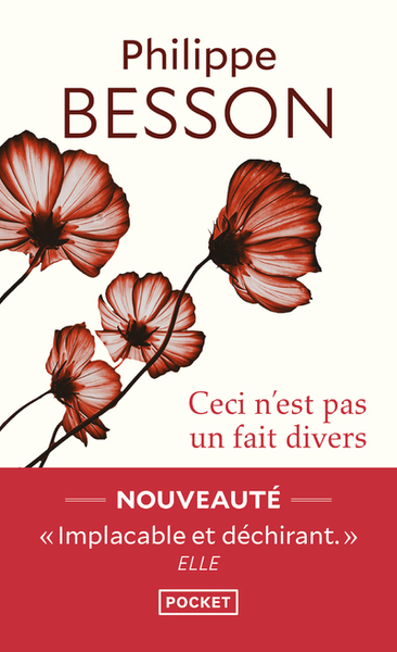 Ceci n'est pas un fait divers - Philippe Besson