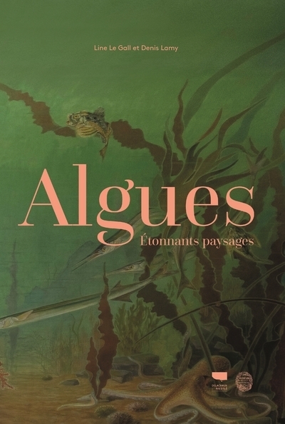 Algues - Étonnants paysages