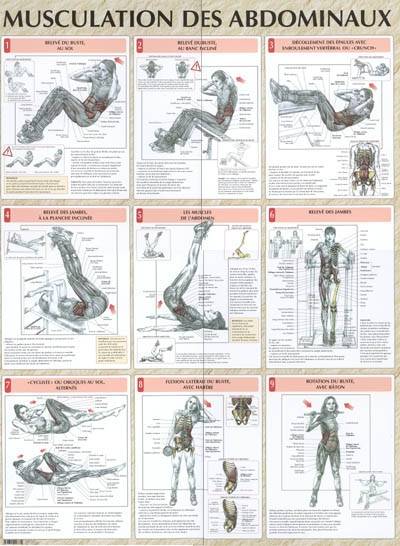 Musculation des abdominaux planche plastifiée