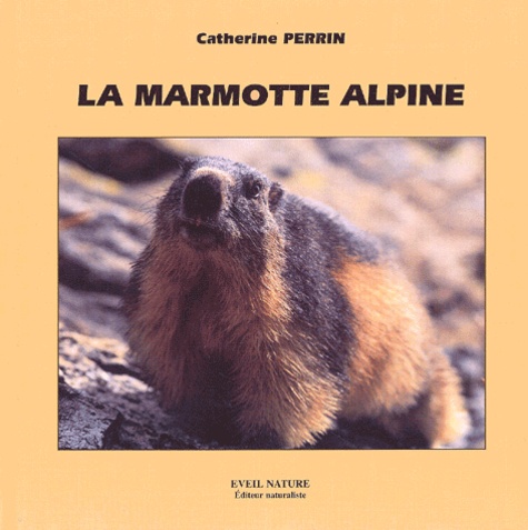 La marmotte alpine