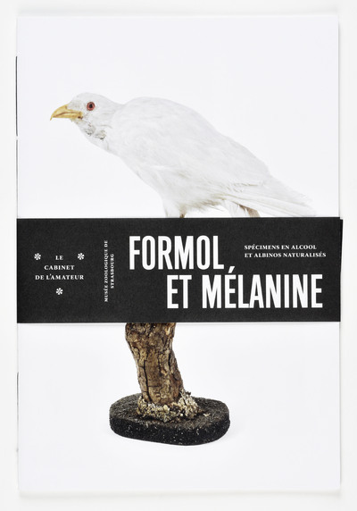 Formol et Mélanine - Marie-Dominique Wandhammer