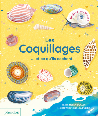 Les coquillages et ce qu'ils cachent