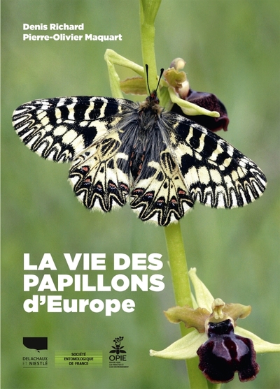 La Vie des papillons d'Europe - Pierre-Olivier Maquart, Denis Richard