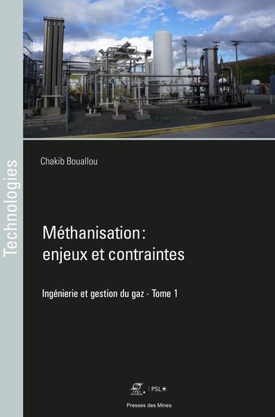 Ingénierie et gestion du gaz - Volume 1 - Chakib Bouallou