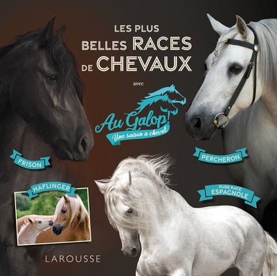 Au galop - Les plus belles races de chevaux - Béatrix Lot