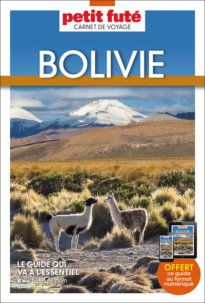 Guide Bolivie 2024 Carnet Petit Futé