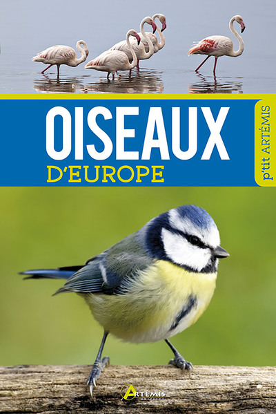 Oiseaux d'Europe - Collectif