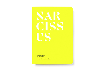 Narcissus