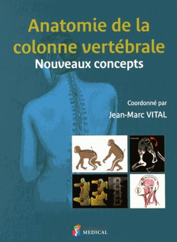 anatomie colonne vetebrale