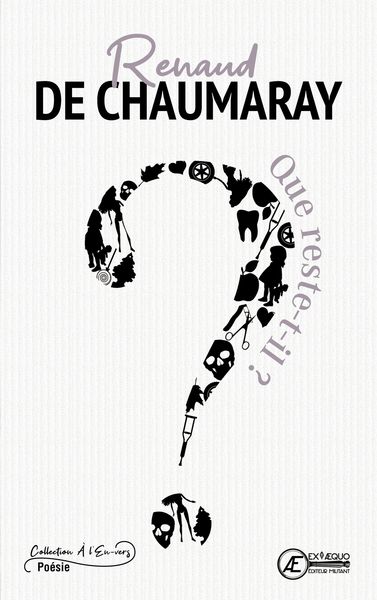 Que reste-t-il ? - Renaud de Chaumaray