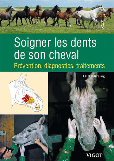 Soigner les dents de son cheval