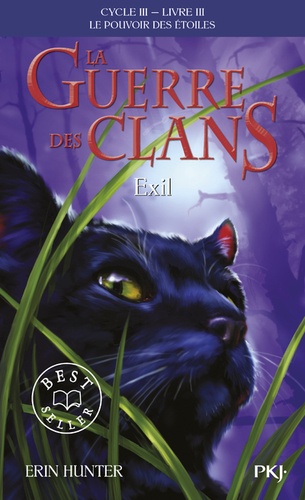 La guerre des clans : le pouvoir des étoiles (Cycle III) Volume 3