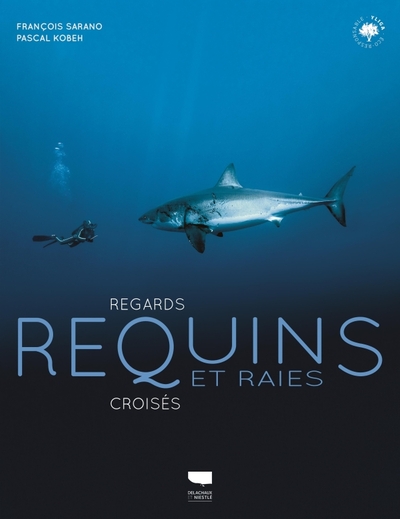 Requins Et Raies, Regards Croisés