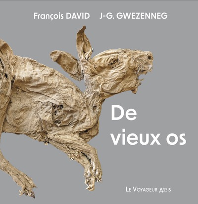 De Vieux Os - François David, Jean-Gérard Gwezenneg