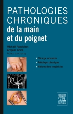 Pathologies Chroniques Main Et Poignet