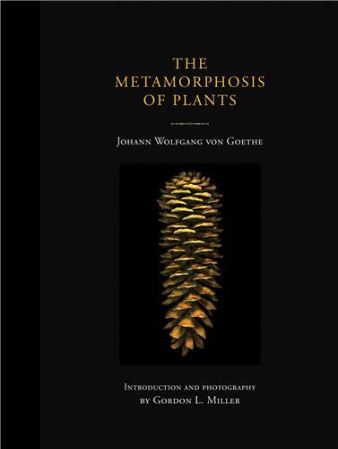 Johann Wolfgang von Goethe The Metamorphosis of Plants /anglais