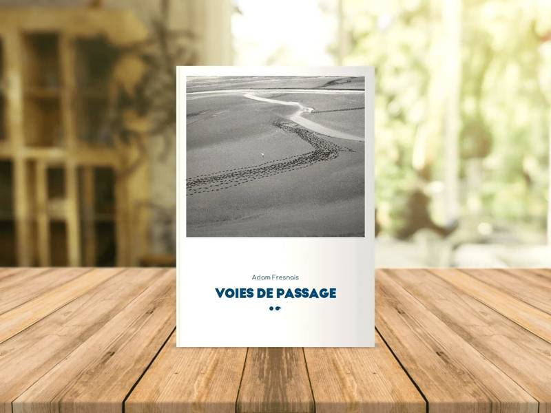 Voies De Passage