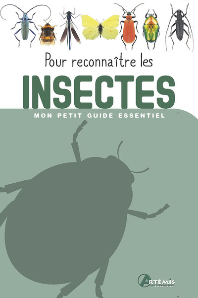 Pour reconnaître les insectes