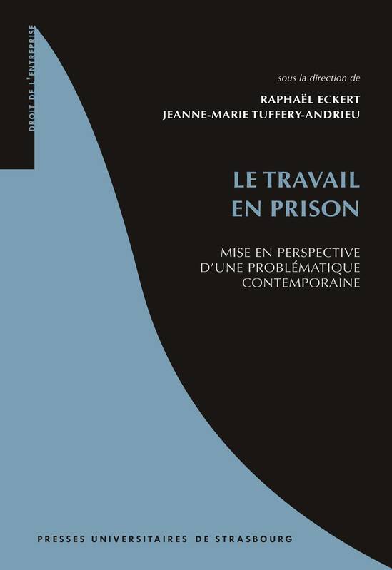 Le Travail En Prison, Mise En Perspective D'Une Problématique Contemporaine